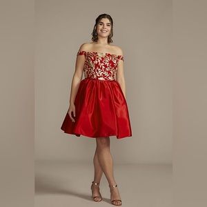 David’s Bridal, Short Red Satin Dress Size: 18